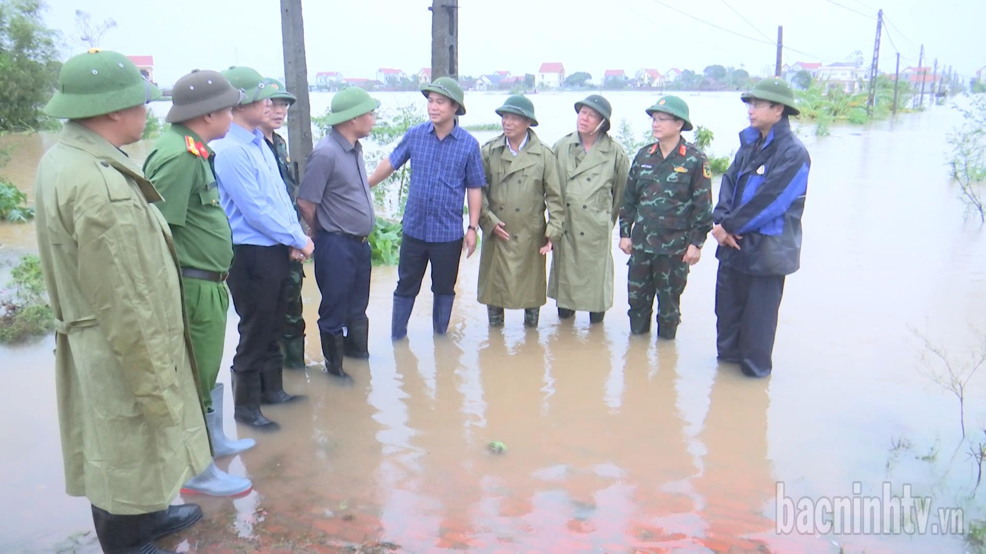 Các đồng chí lãnh đạo tỉnh kiểm tra công tác phòng chống lụt bão, khắc phục ngập úng do mưa bão