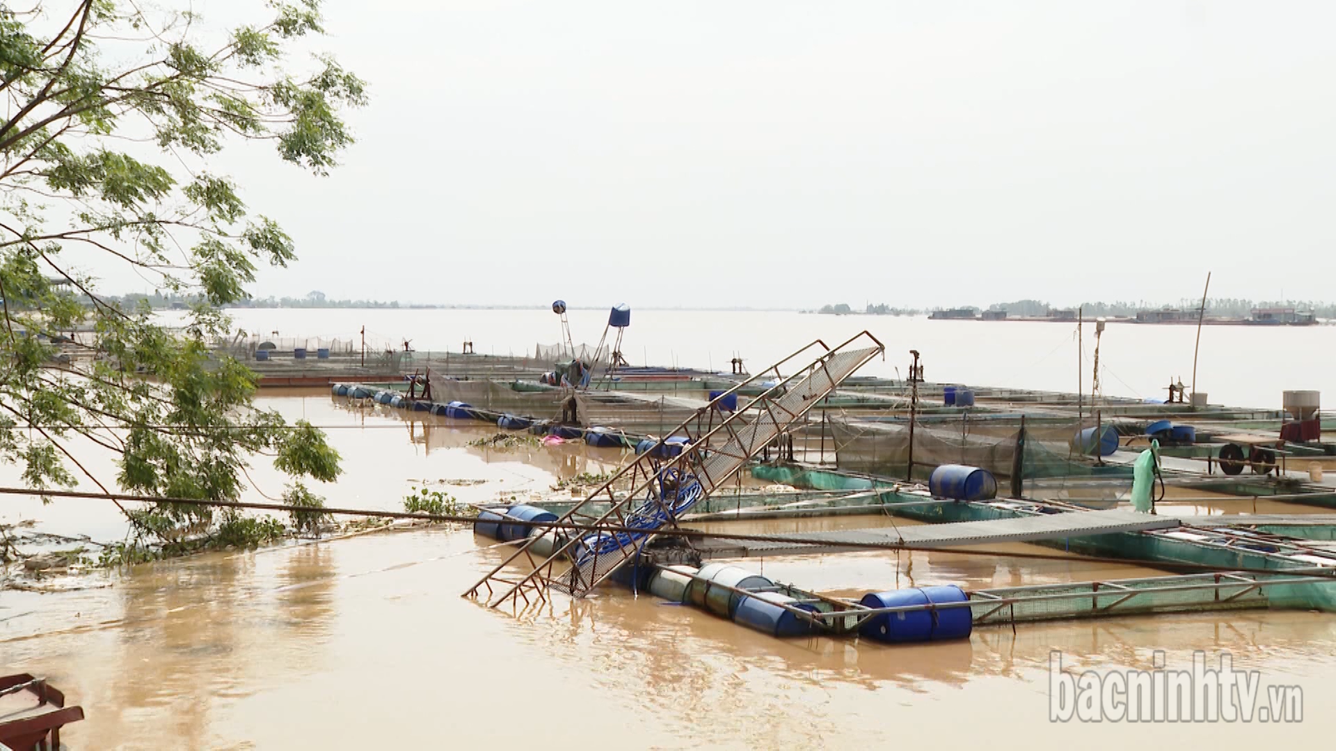 Thiệt hại hơn 3.400 tấn thủy sản do cơn bão số 3