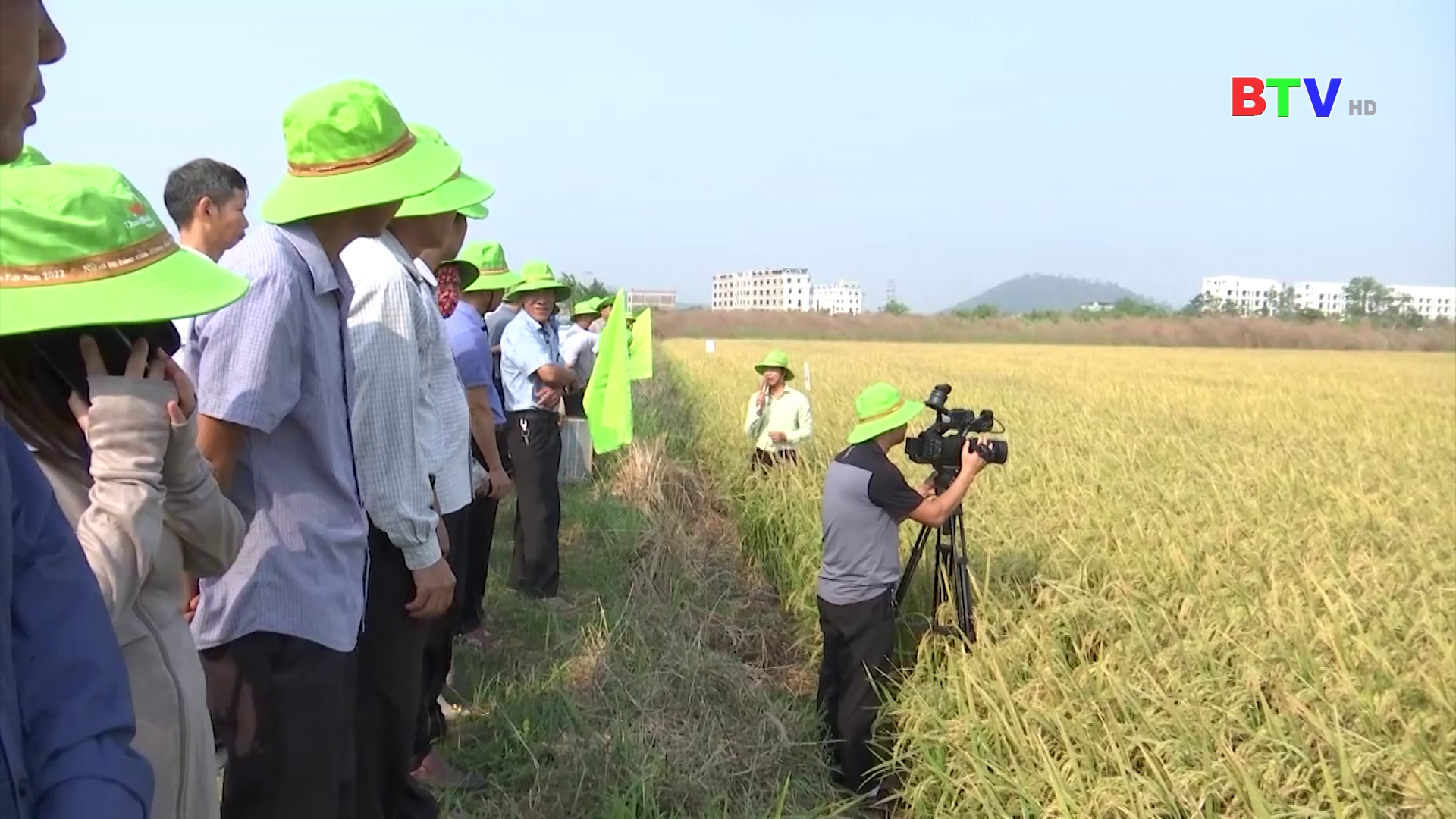 Nhìn lại sản xuất vụ mùa 2024