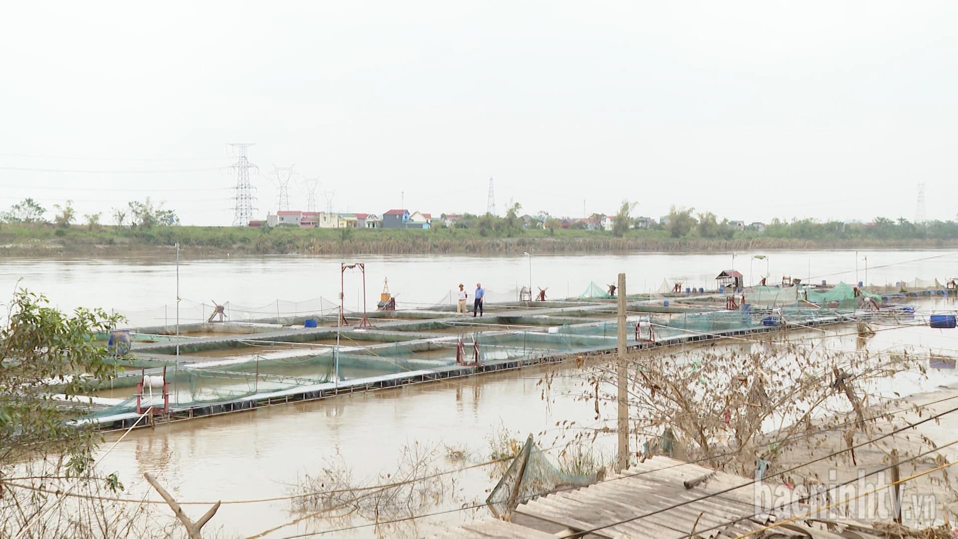 Hỗ trợ lãi suất cho hội viên nông dân vay vốn quỹ hỗ trợ nông dân bị thiệt hại bão số 3 (yagi)