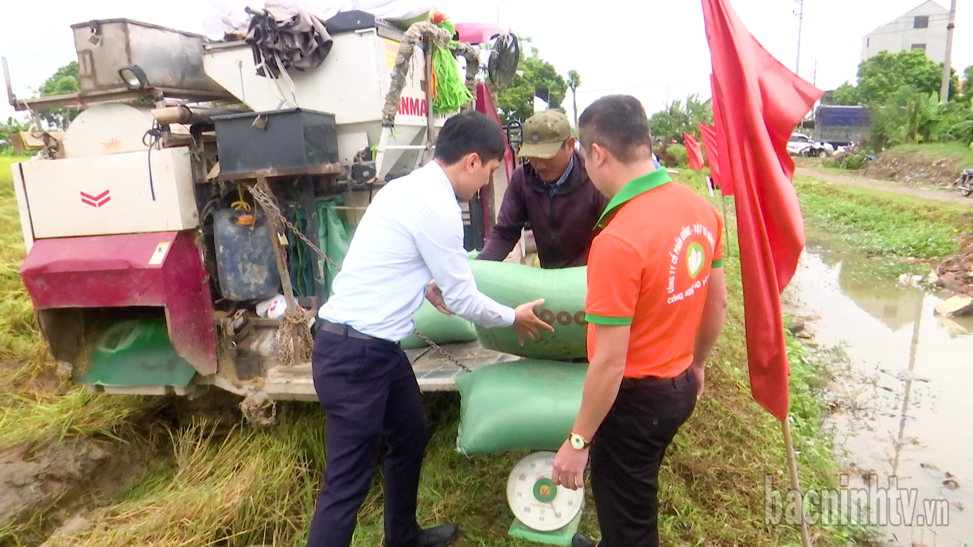 Trung tâm Khuyến nông và Phát triển nông nghiệp công nghệ cao tỉnh đánh giá năng suất giống lúa J02