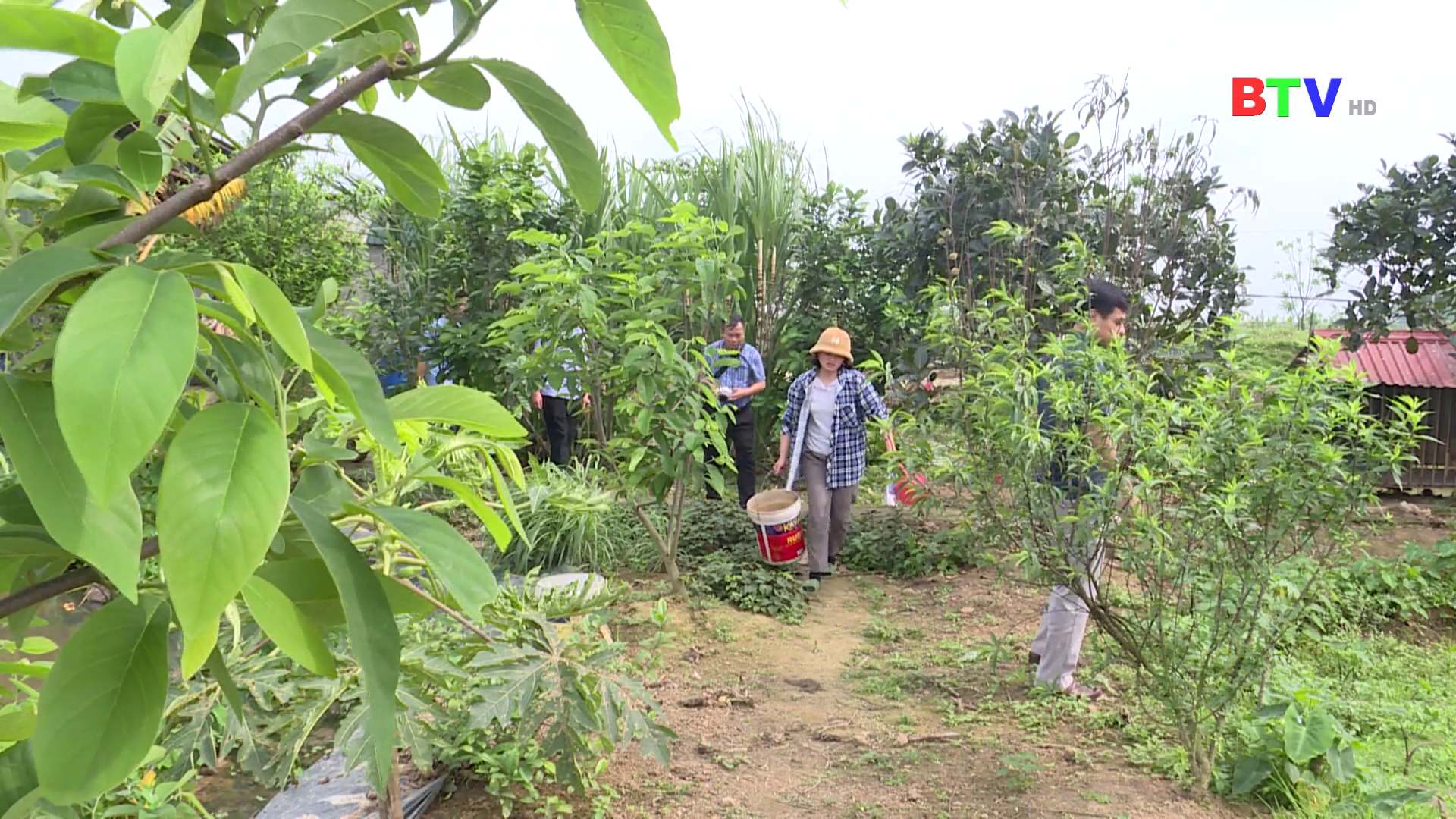 Bắc Ninh khai thác tiềm năng, thế mạnh từ phát triển nông nghiệp