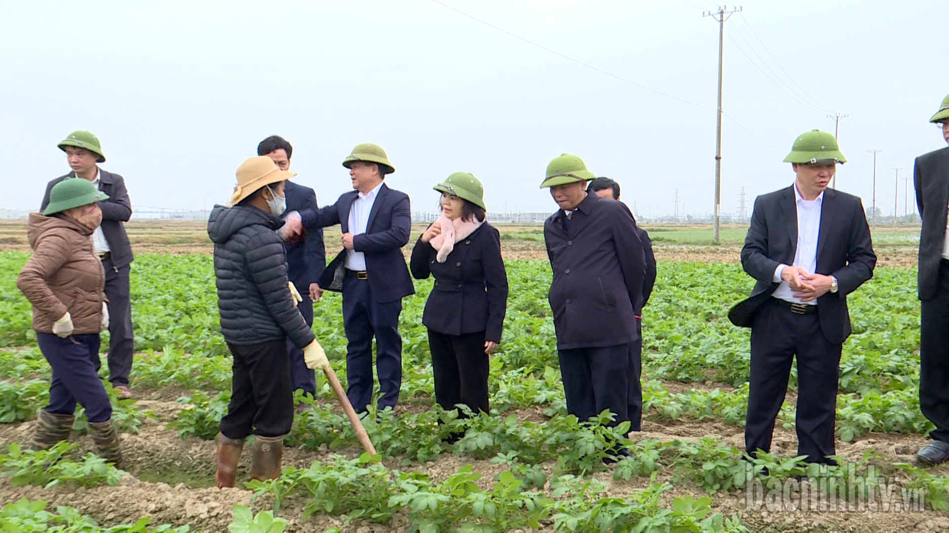 Chủ tịch HĐND tỉnh Nguyễn Hương Giang kiểm tra sản xuất vụ xuân 