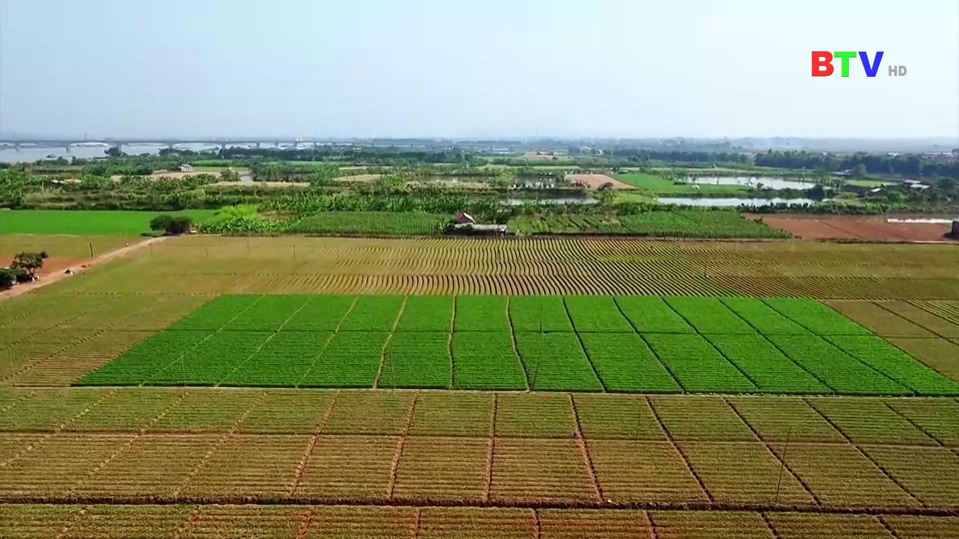 Huyện Gia Bình ngày 7/5/2025