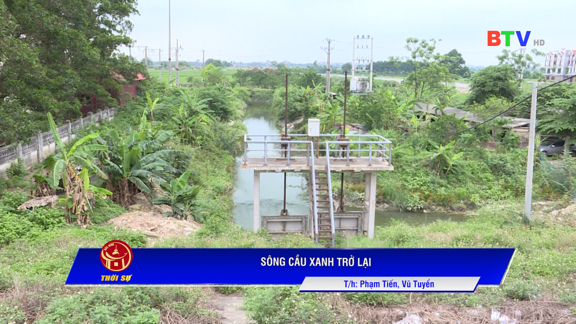 Sông Cầu xanh trở lại