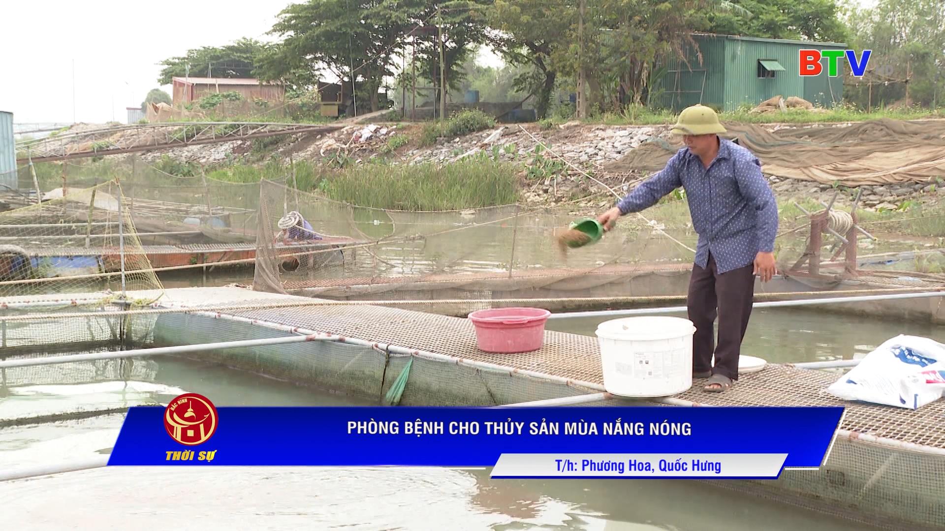 PHÒNG BỆNH CHO THỦY SẢN MÙA NẮNG NÓNG