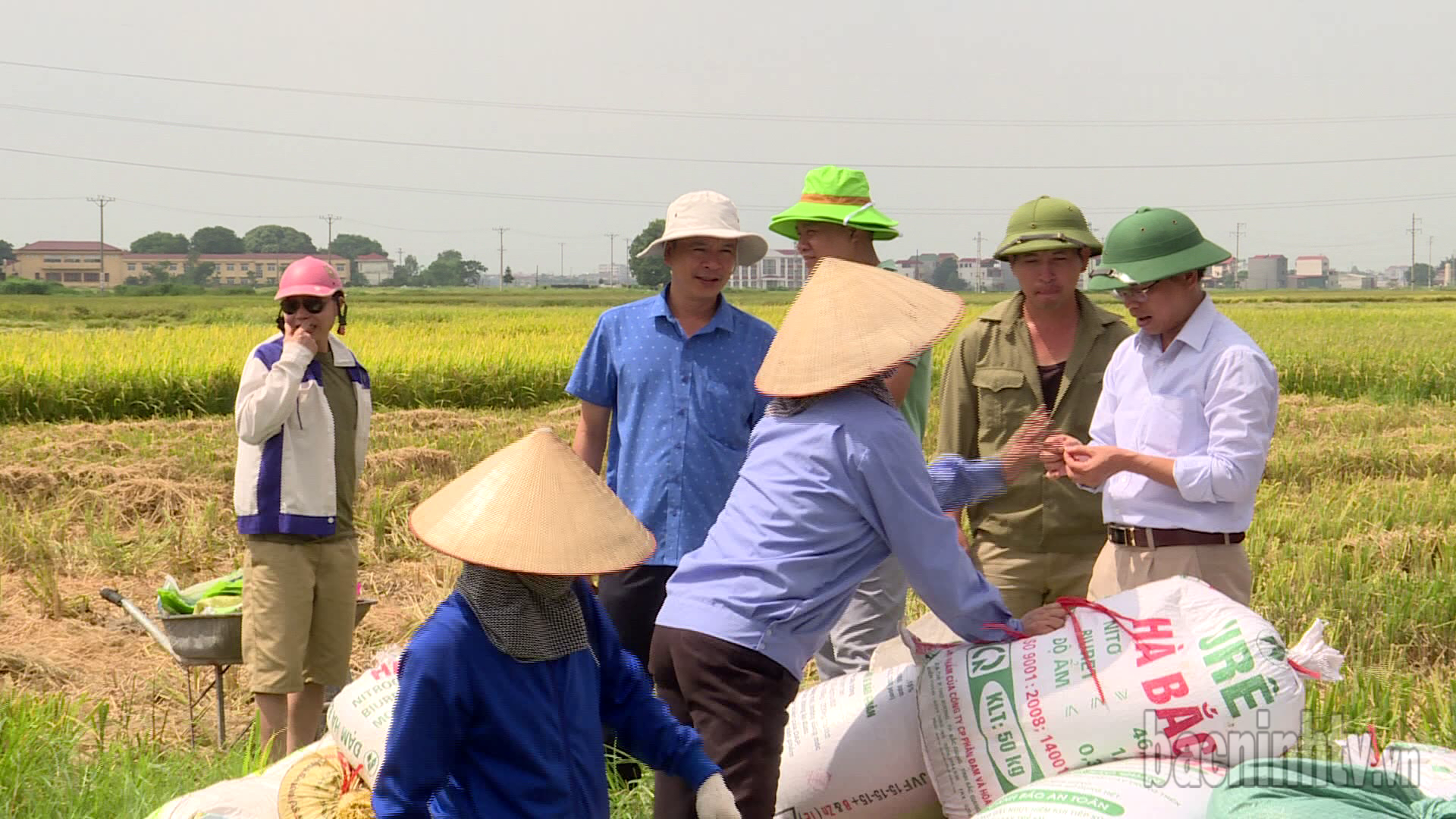 Tập trung thu hoạch lúa xuân và chuẩn bị sản xuất vụ mùa 2025